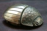 Bronze Beetle